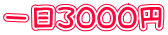 一日３０００円